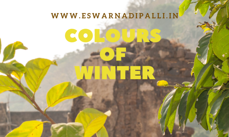 colours of winter