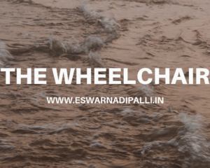 the wheelchair