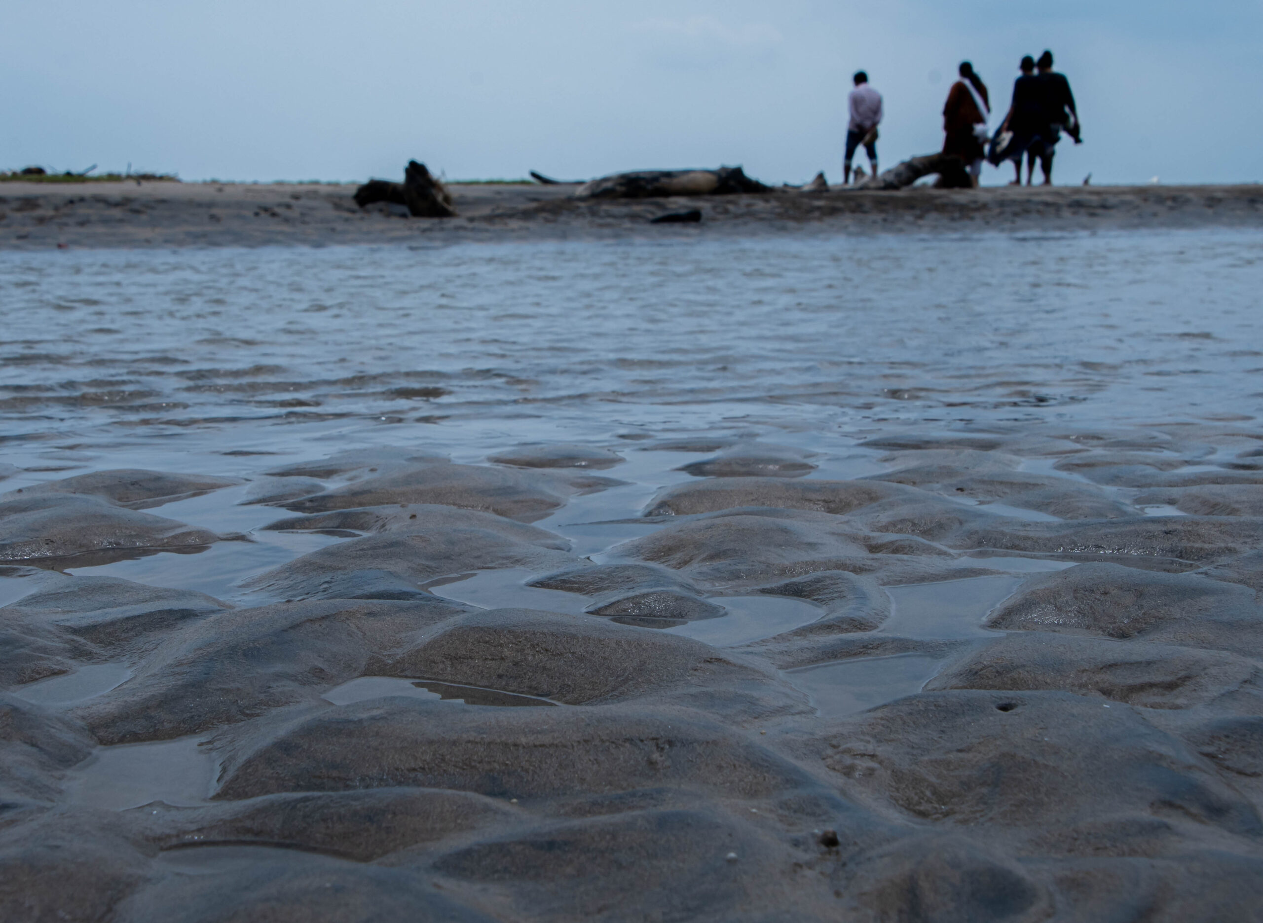 sea