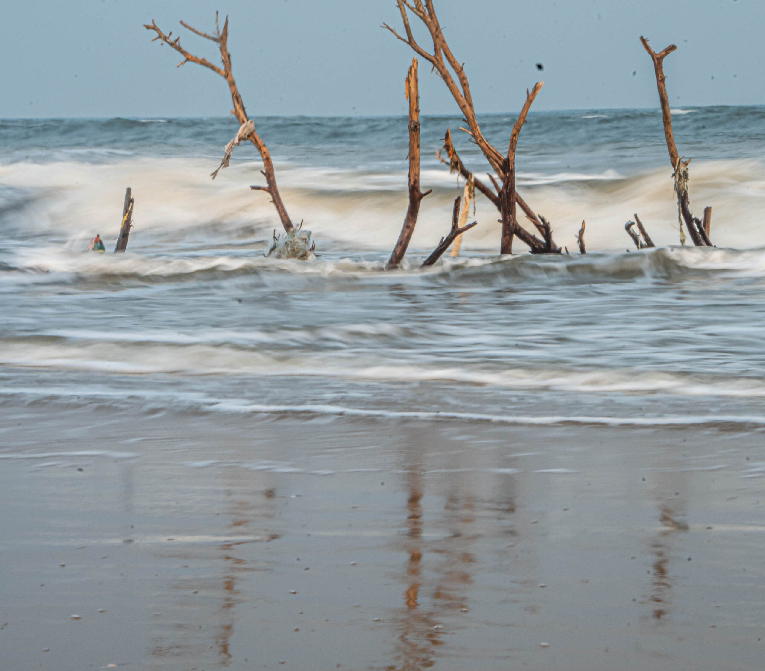 seashore