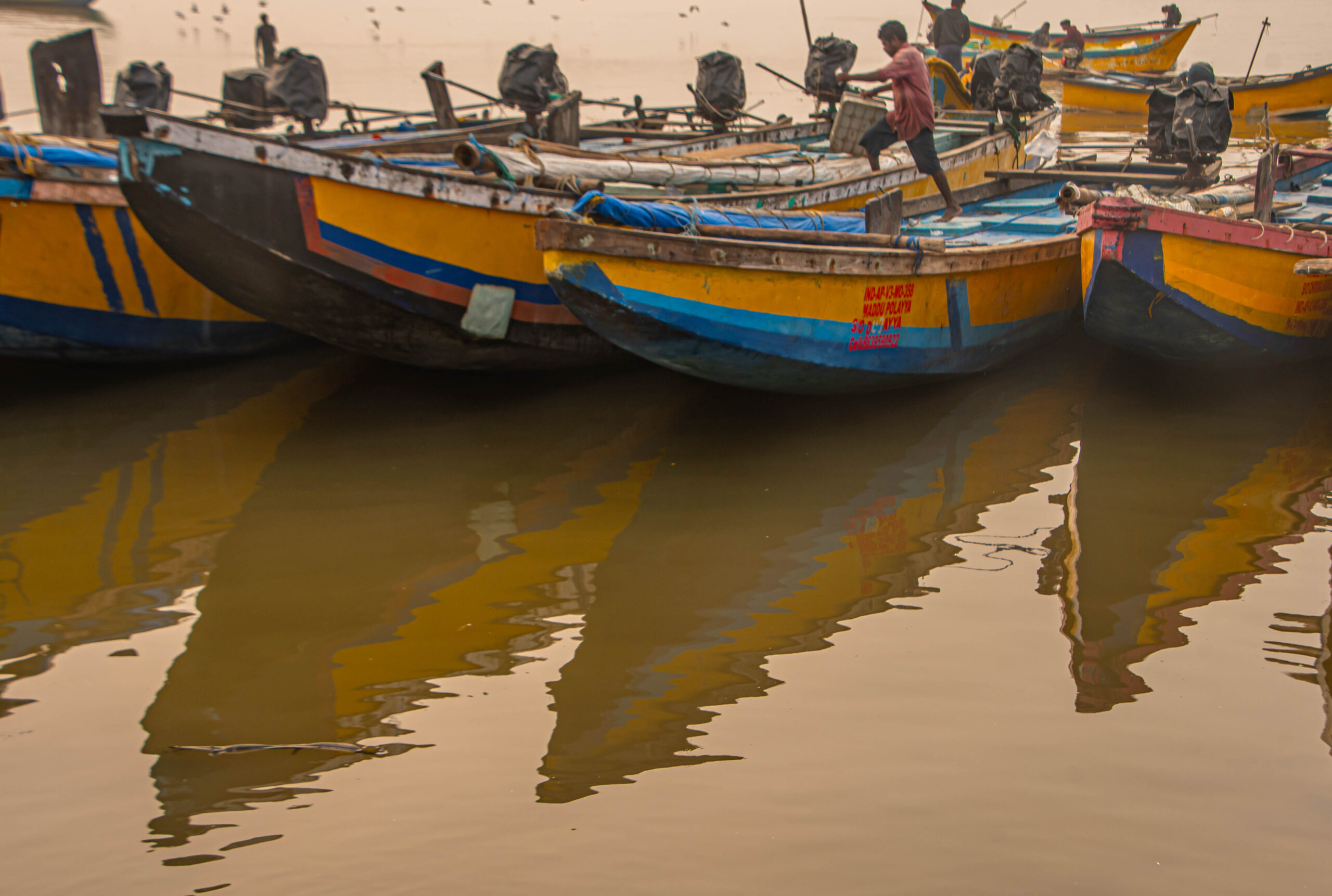 seashore3